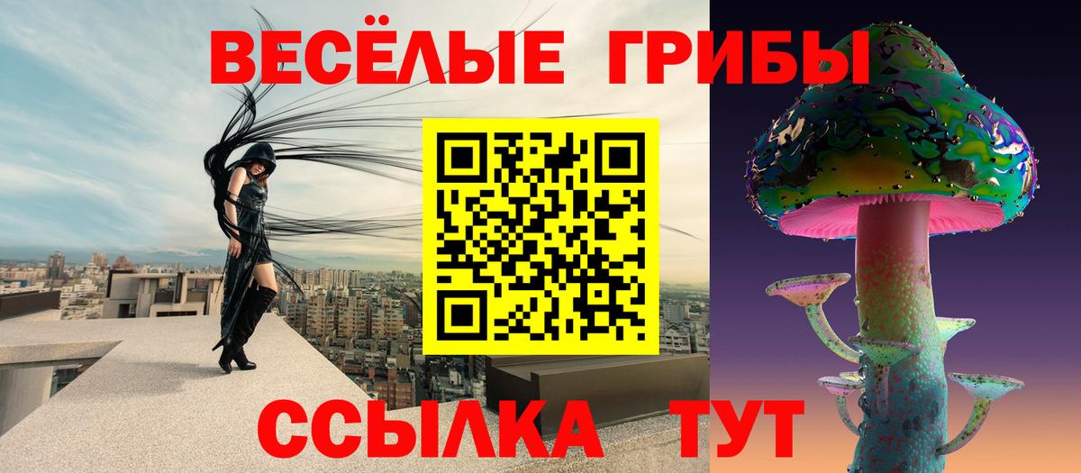 Галлюциногенные грибы GOLDEN TEACHER Кольчугино